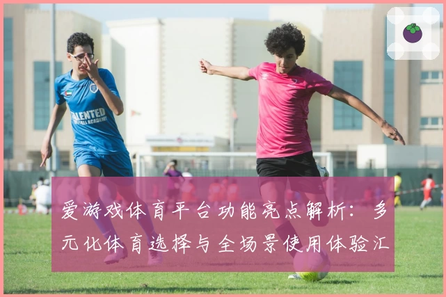 爱游戏体育平台功能亮点解析：多元化体育选择与全场景使用体验汇总